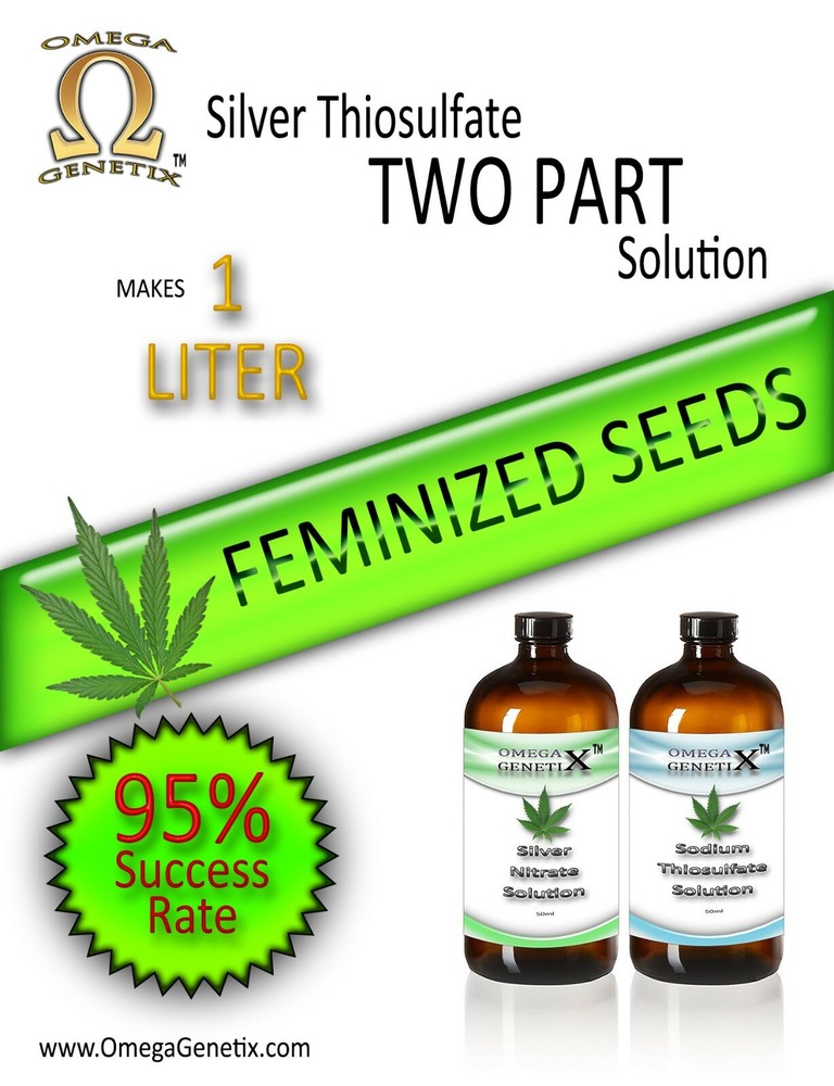 Silver Thiosulfate Two Part Solution, 1 Liter