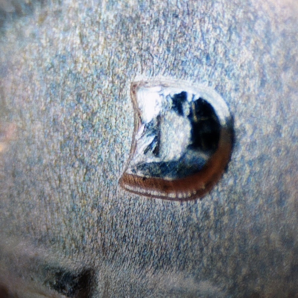 1964 D over D WASHINGTON QUARTER RPM absolute GEM Silver