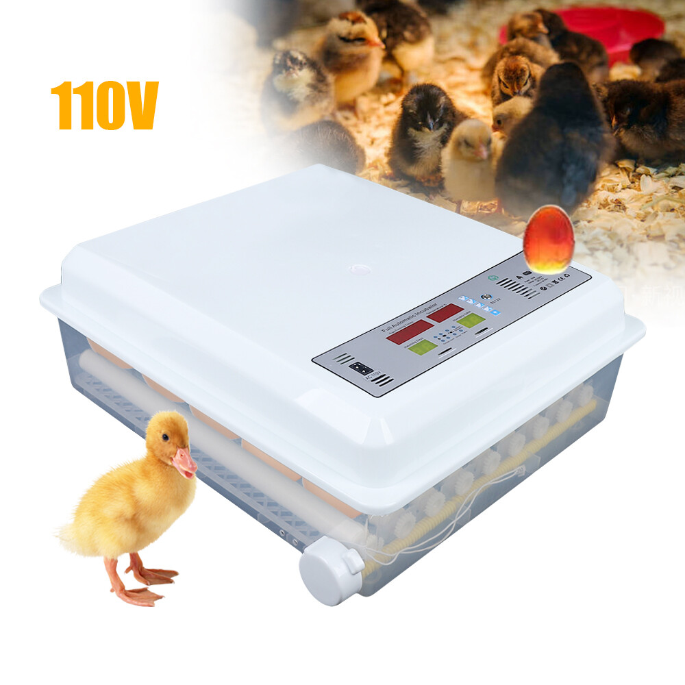 64 Eggs Egg Incubator Fully Digital Automatic Hatcher for Hatching Chicken Farm