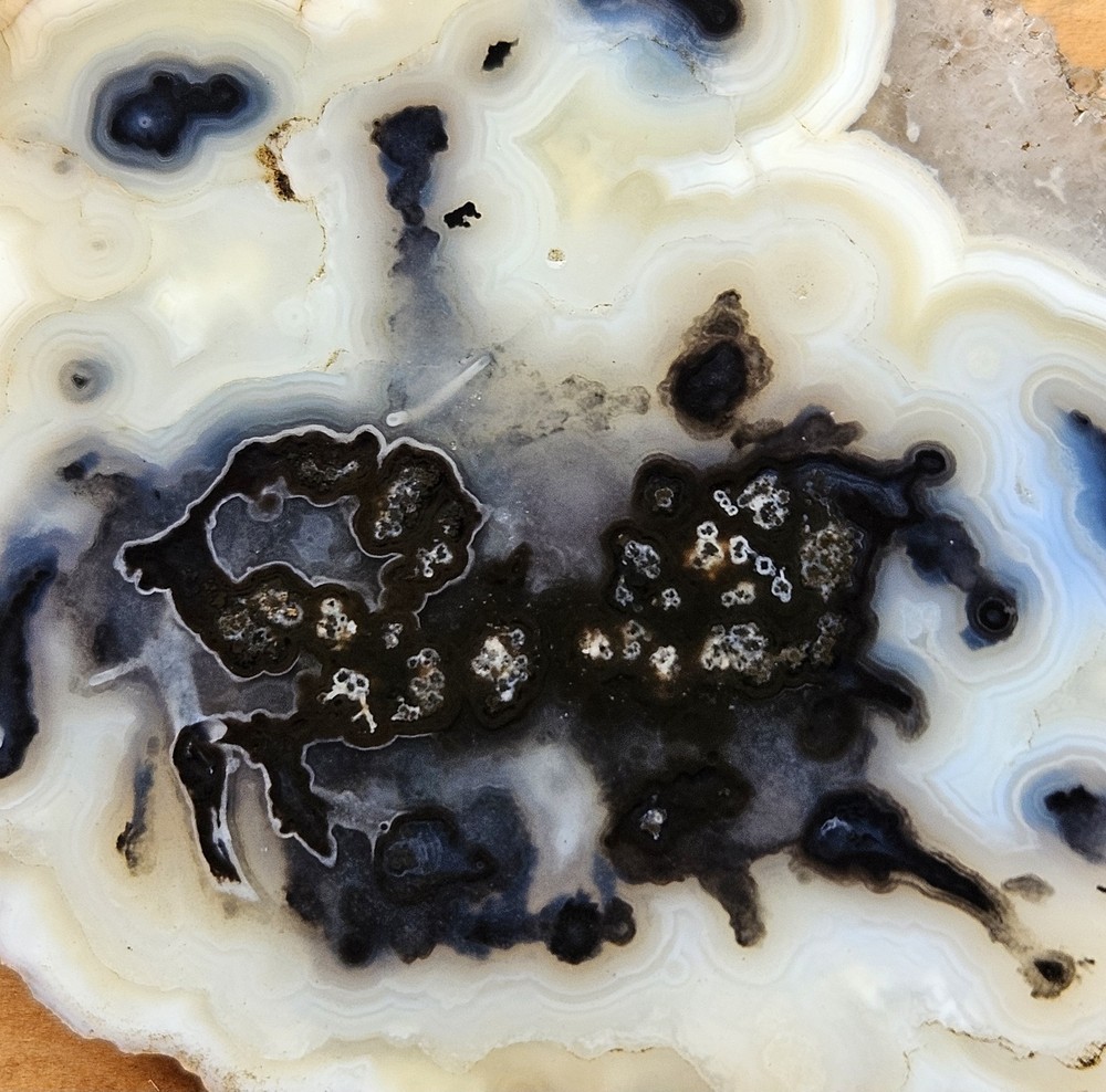 Agate Lapidary Slab With Black Plume 39 Grams