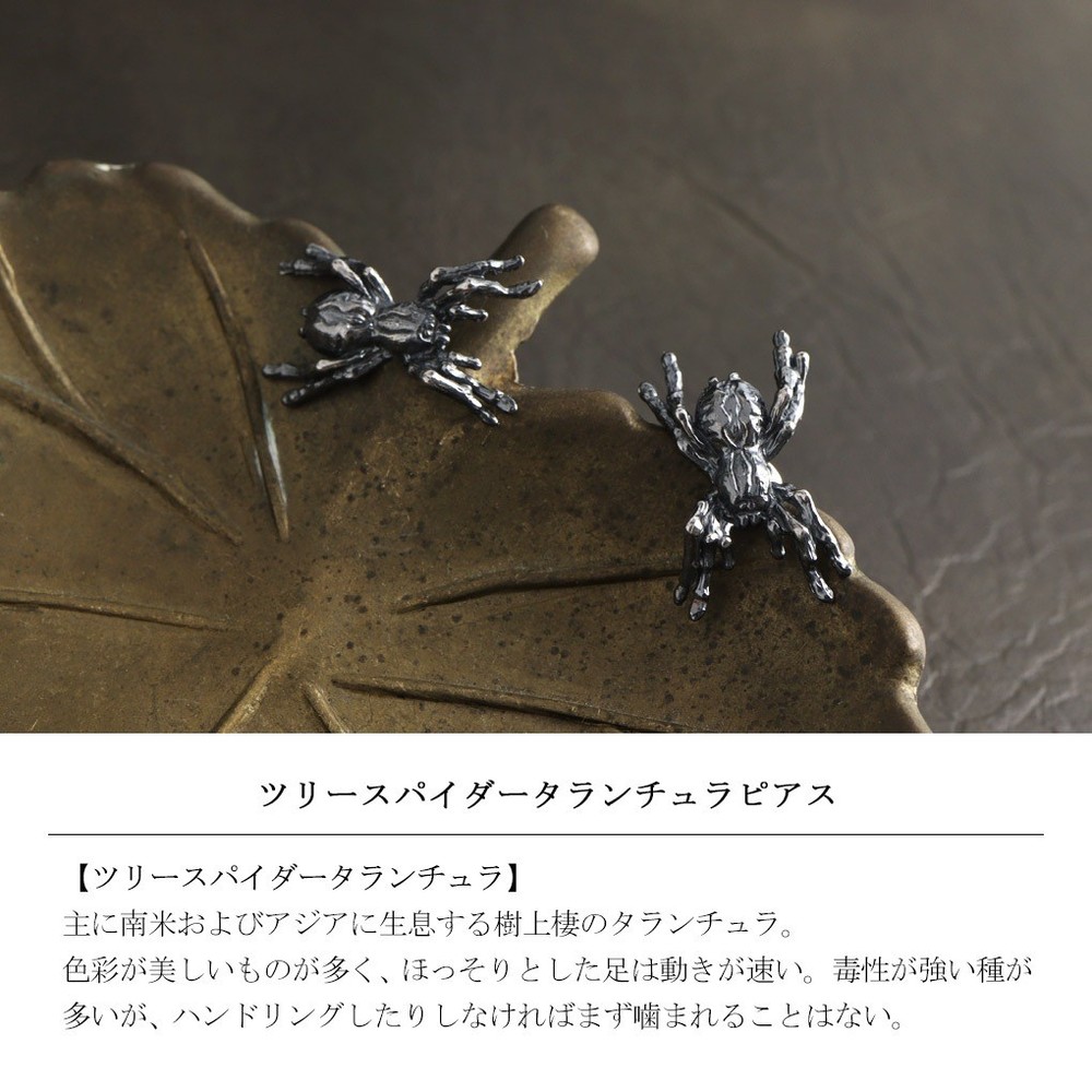 Cold I’s Tarantula Spider Stud Earrings (Pair) 925 Silver