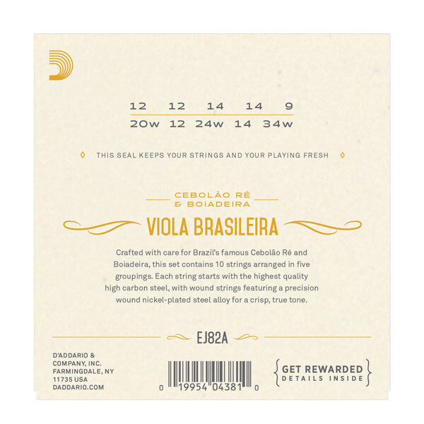 D'Addario EJ82A 10-String NPS Viola Brasileira Strings