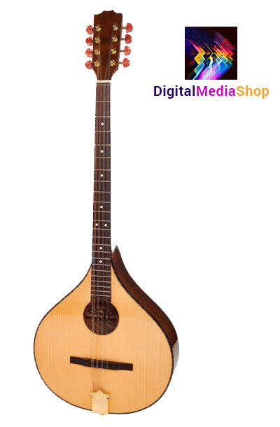 Concert Irish Bouzouki + Hard Case
