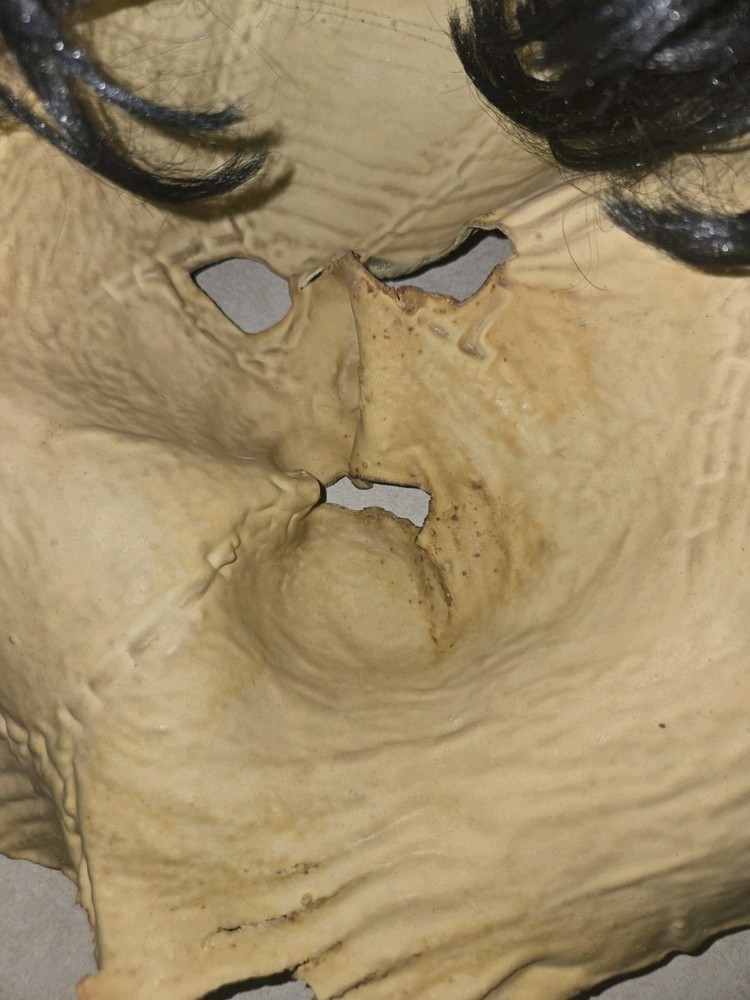 Leatherface Texas Chainsaw Massacre DON POST Mask