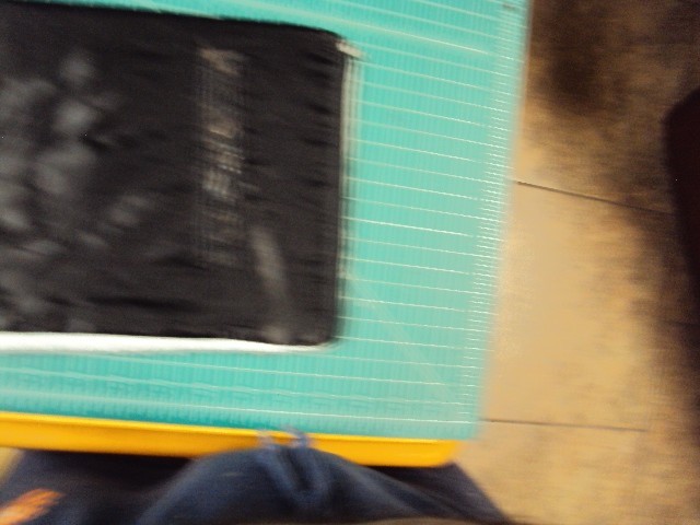 Small pet carrier