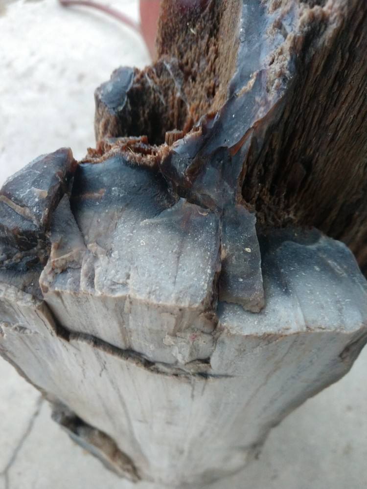 Beautiful 90lb. petrified/opalized/mineralized/agateized wood log