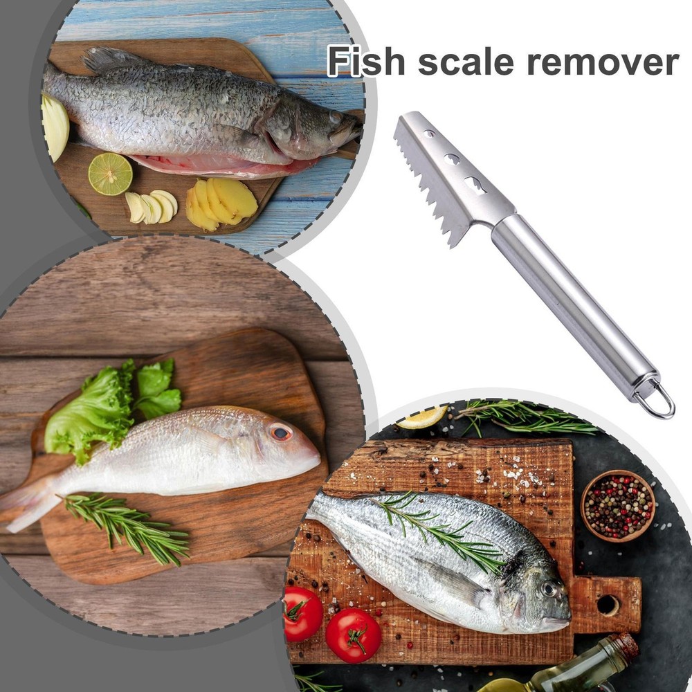 Fish Scaler Tool Stainless Steel Solid Construction Fish Scale Remover Kitchen