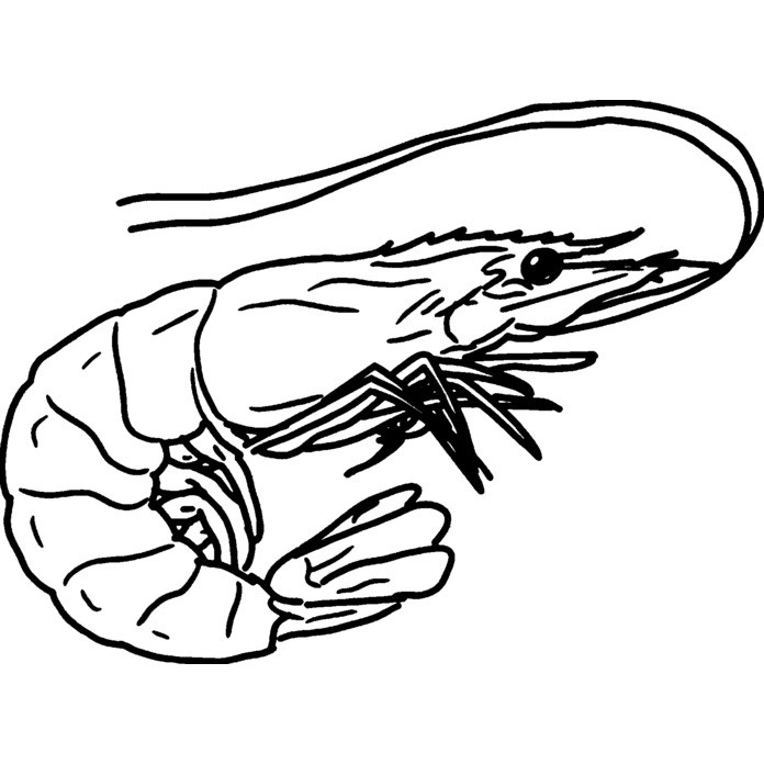 'Shrimp' Unmounted Rubber Stamp (RS026650)