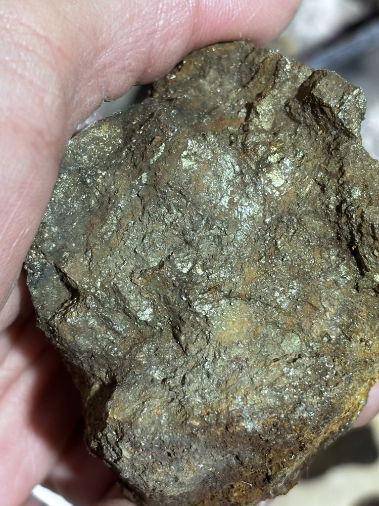rich az silver and gold ore