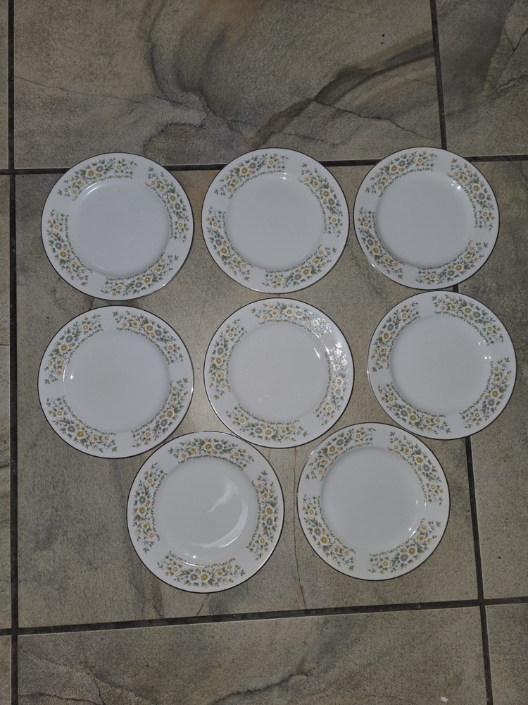 38 Peice Carlton China Concerto #480 Set