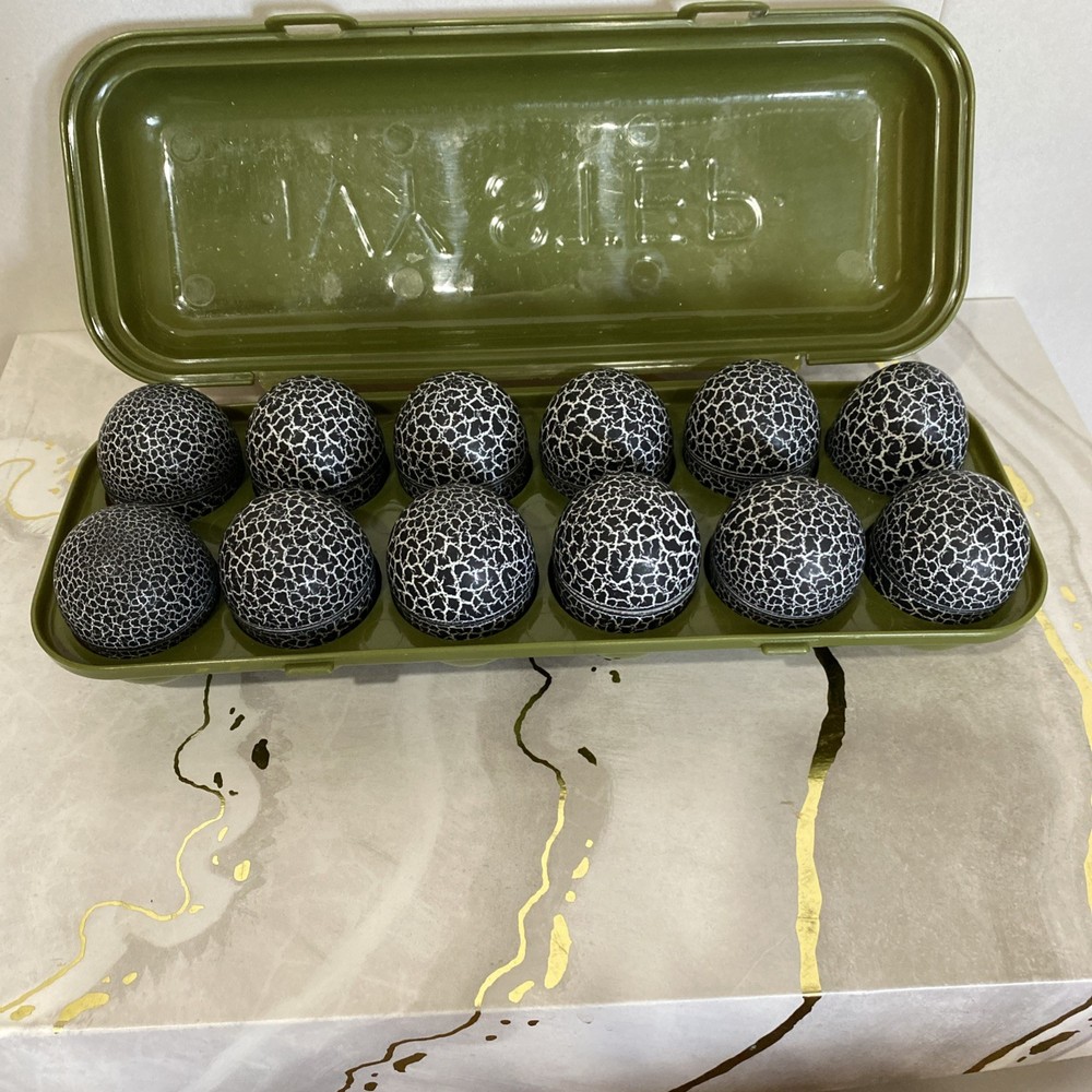 Ivy Step Dinosaur Counting Eggs With Carrying Case