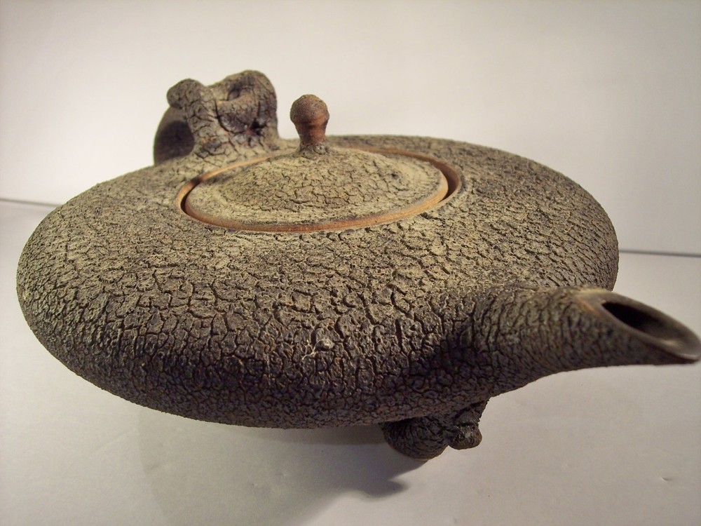 UNIQUE ART TEXTURED TEAPOT "THIRST" TERRIFIC