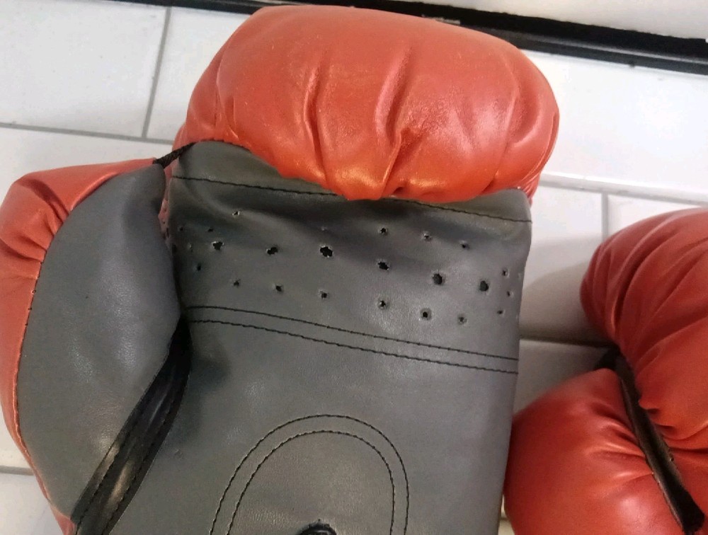 Everlast ~ Classic Boxing Training Glove for Heavy Bag Training ~ Mitt Work Spar