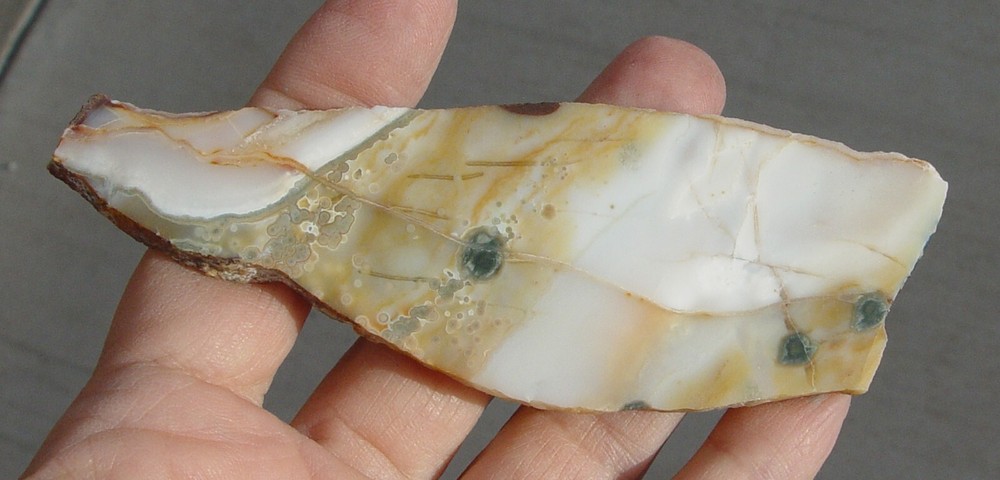 Ocean Jasper Lapidary Slab T936