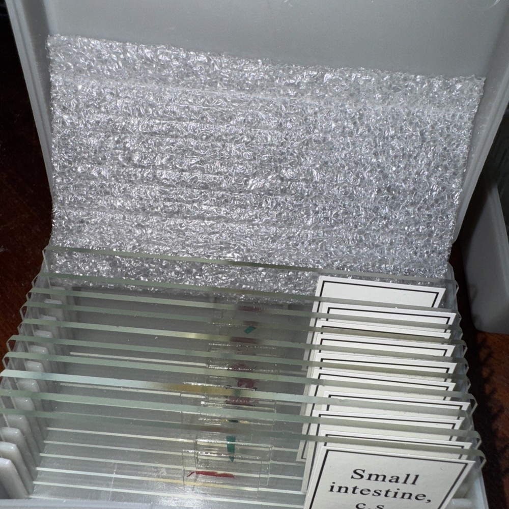 CELESTRON LABS CB2000C Compound Binocular Microscope with 5.5 x 5.5" Mechanical