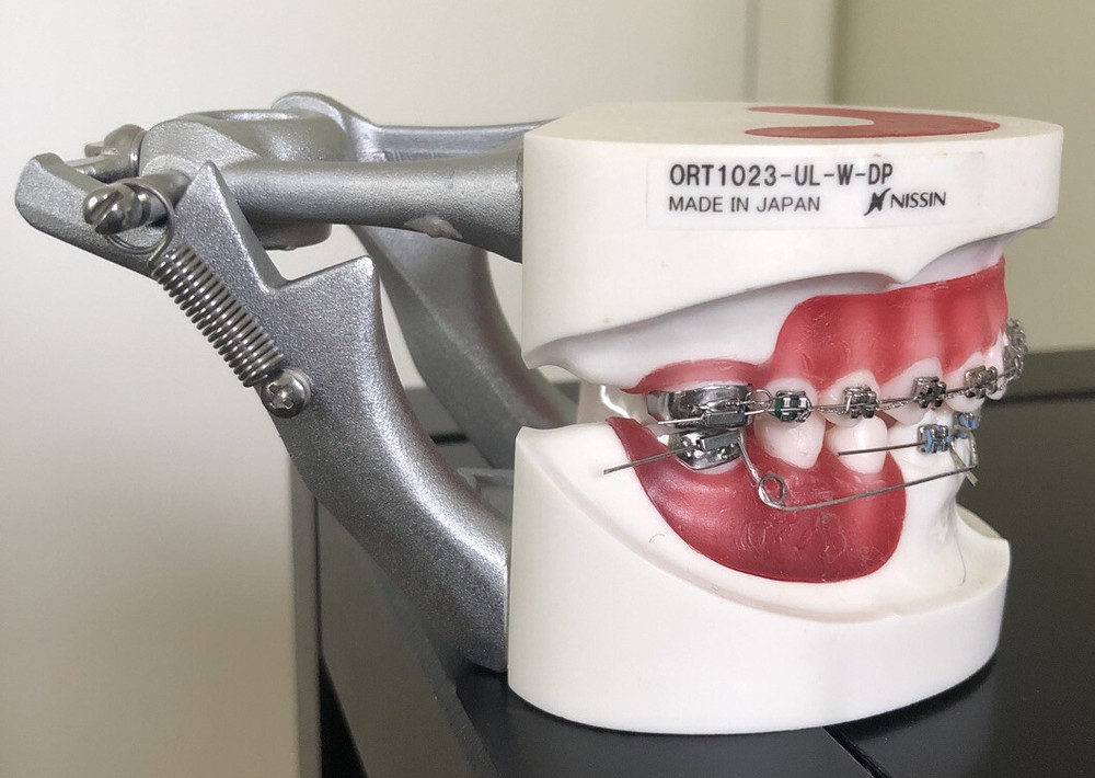 Nissin Ortho Typodont Dental Model
