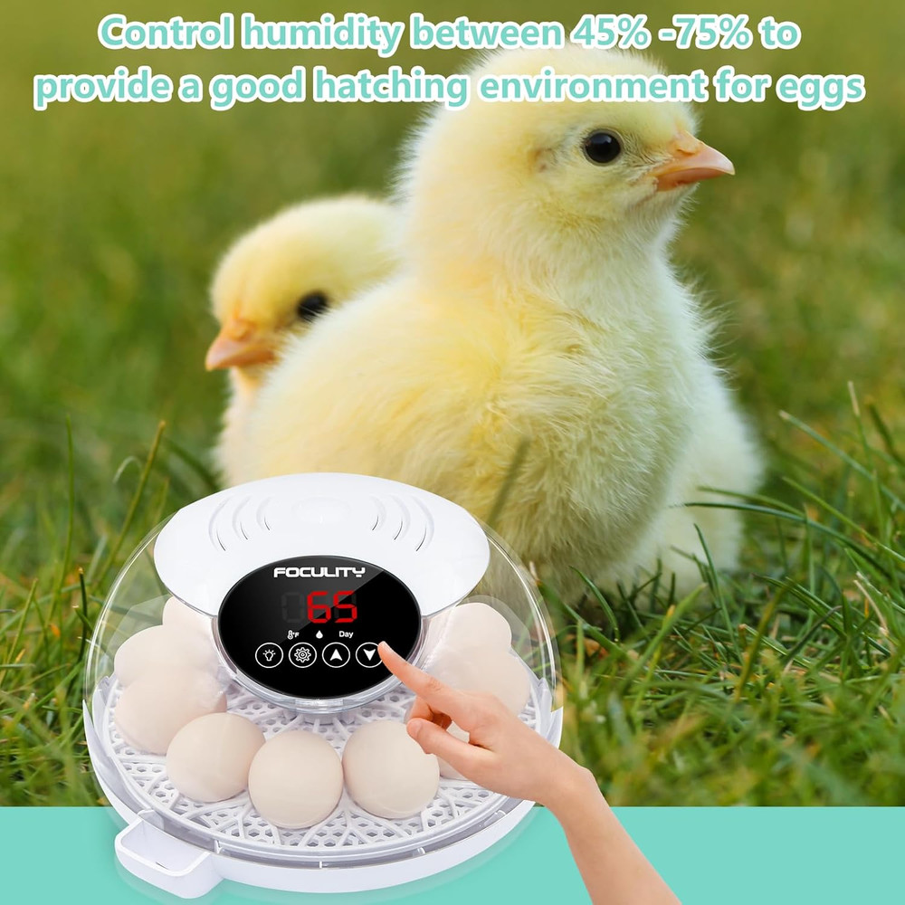 Egg Incubator for Hatching Chicks, Holds 12 Eggs, Automatic Egg Turner with Temp