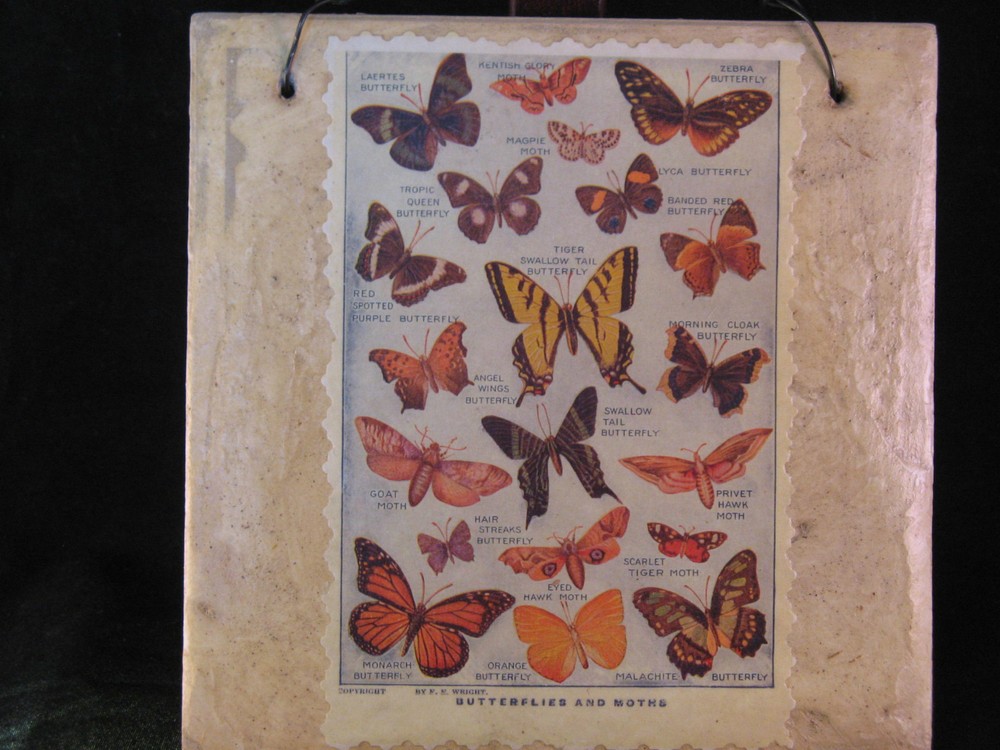 Butterfly & Moth Postcard on Tile Wall Art 5 7/8" square - EUC
