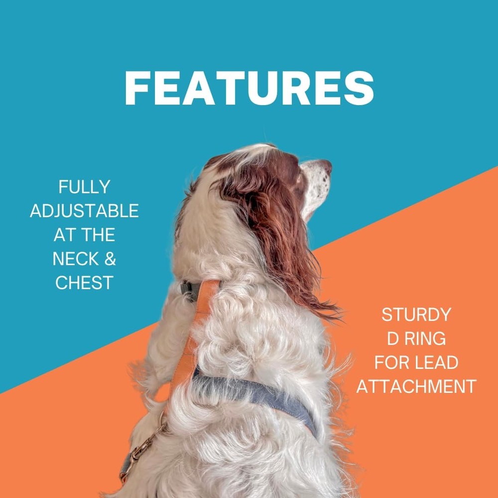 Dog H-Shaped Harness Strong Comfortable Breathable & Fully Adjustable AquaBla...