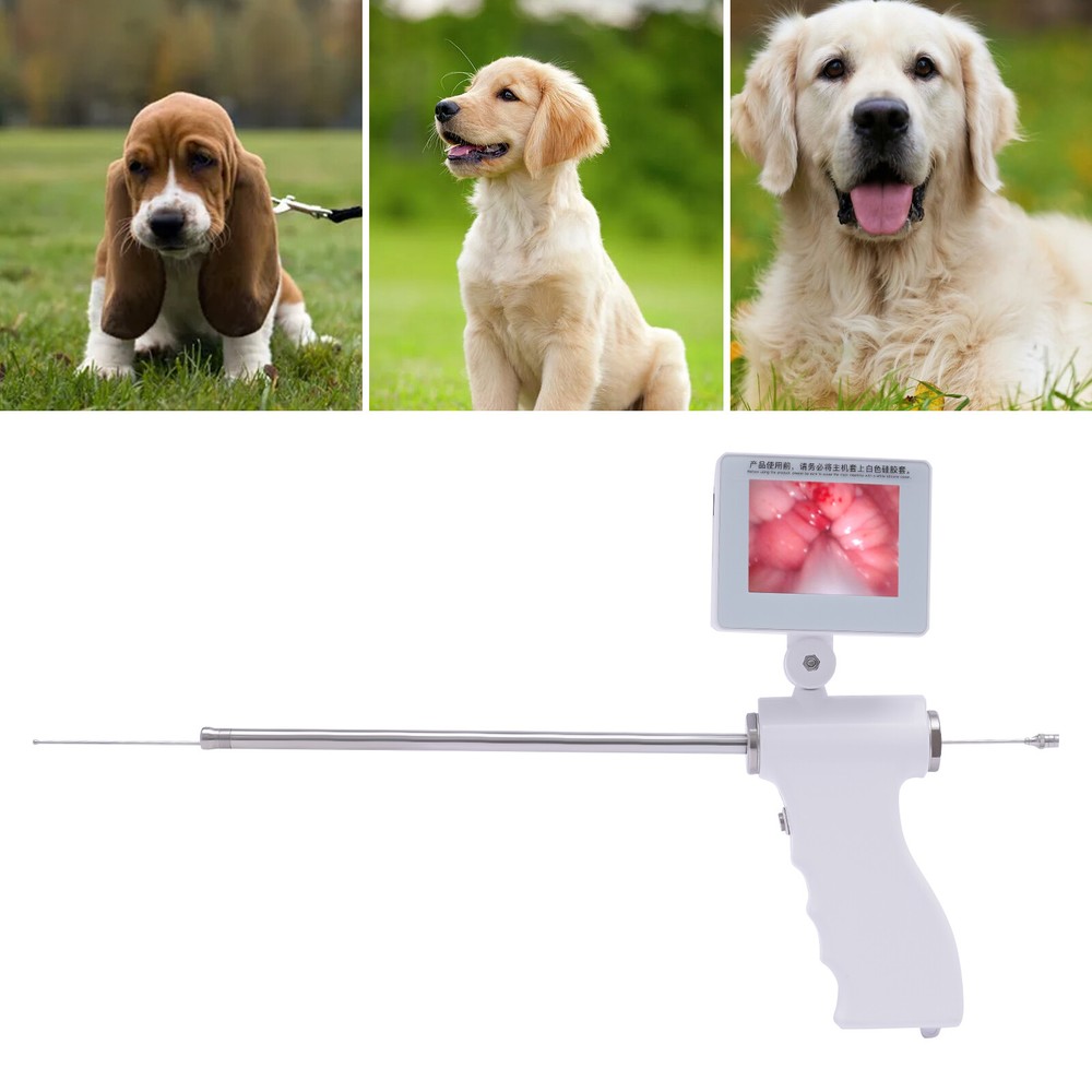 Visual Artificial Insemination Gun Kit Dog Insemination Breeding Tool Adjustable