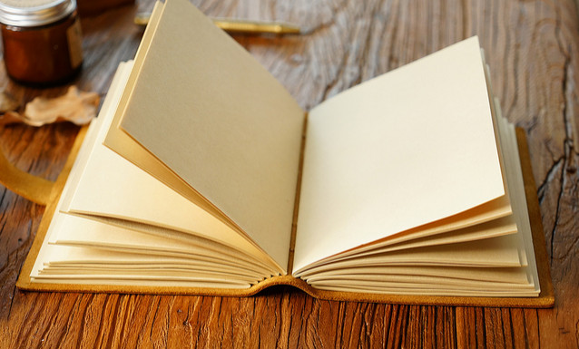 A6 Writing notes Notebook sketchbook Diary Notepad cow leather coffee brown Q297