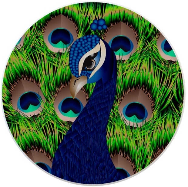 Abstract PEACOCK Animal Cabinet DRAWER Pull KNOB Ceramic