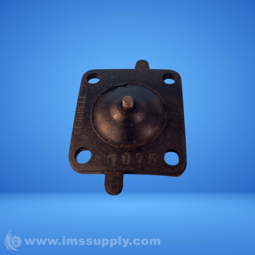 Grinnell 0075 Check Valve FNIP