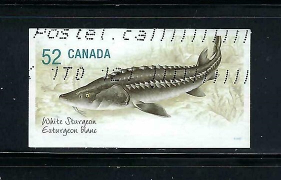 Canada #2232, 52c - Endangered Species - White Sturgeon