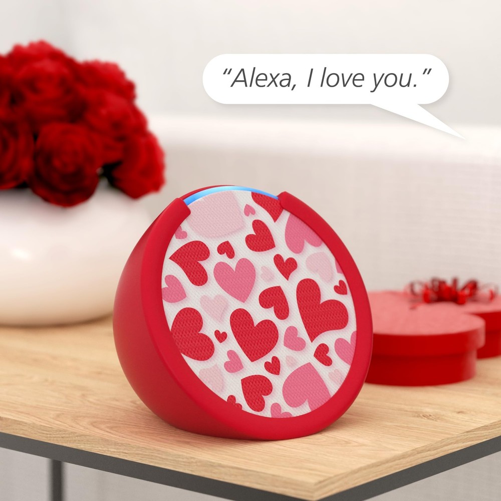 Hearts Sleeve & Faceplate Compatible with Echo Pop