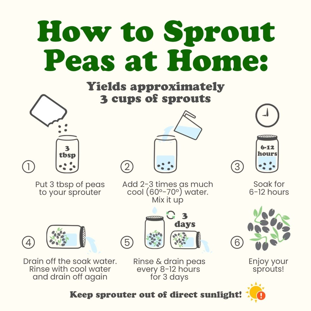 Organic Brown Speckled Peas — Whole, Non-GMO, Sprouting Seeds, Kosher, Raw