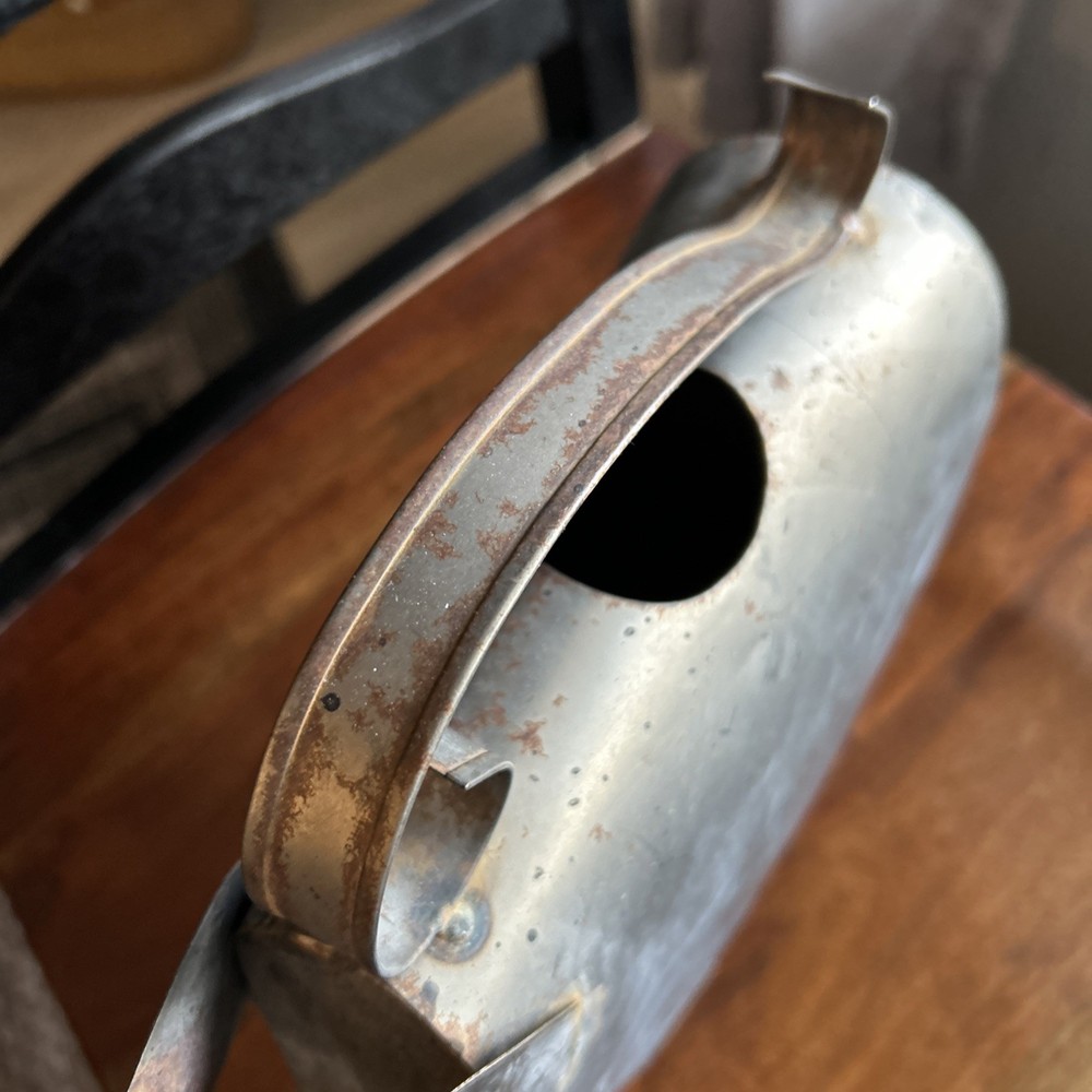 Rustic Wally The Pig Watering Can