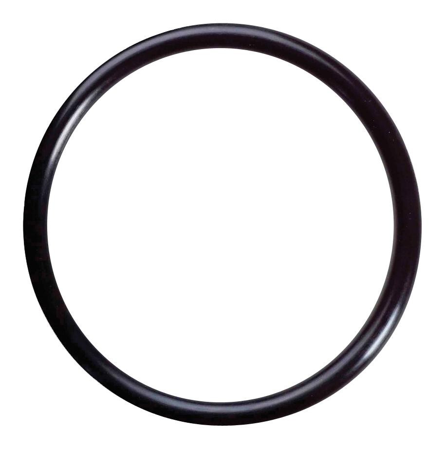 o ring