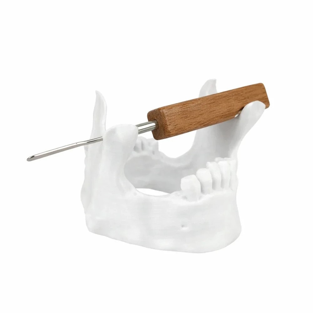 Skull Jaw Tool Holder – White (Table Stand)