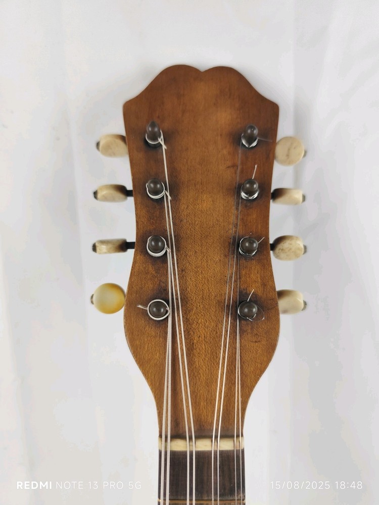 Mandolin 4/4 Giuseppe Cesolari 1905 Rome 曼陀林 만돌린マンドリン