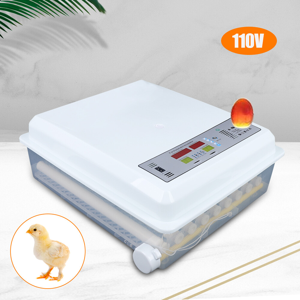 Egg Incubator 64 Eggs Digital Automatic Hatcher for Hatching Chicken Farm