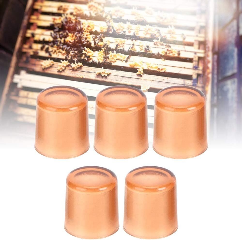 500Pcs Queen Bee Rearing Cell Cups Plastic Beekeeping Tools Safe Durable