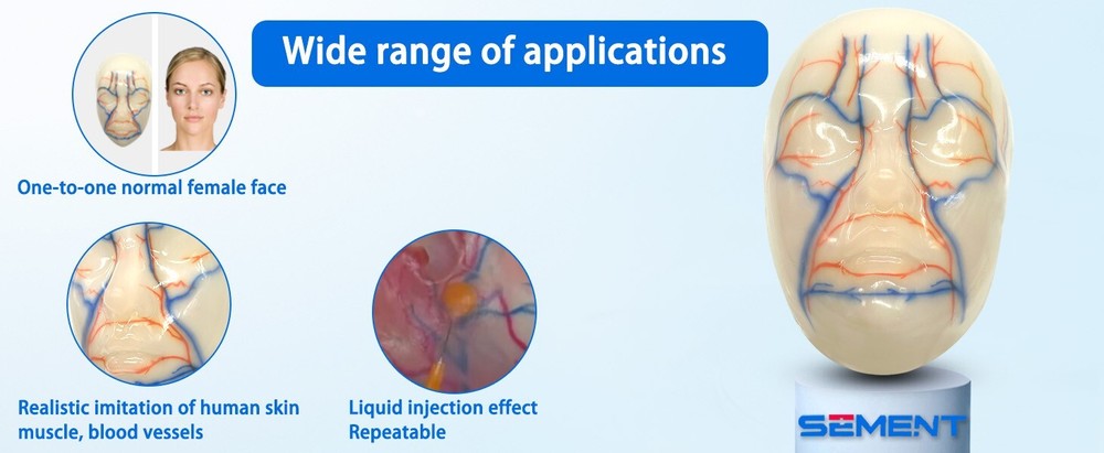 Facial Micropigmentation Training Model One-to-one Normal Female Face Repeatable