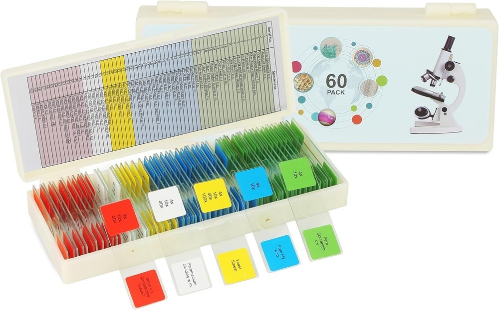 60 Lab-Grade Microscope Slides for Kids - STEM Kit with Biological Specimens