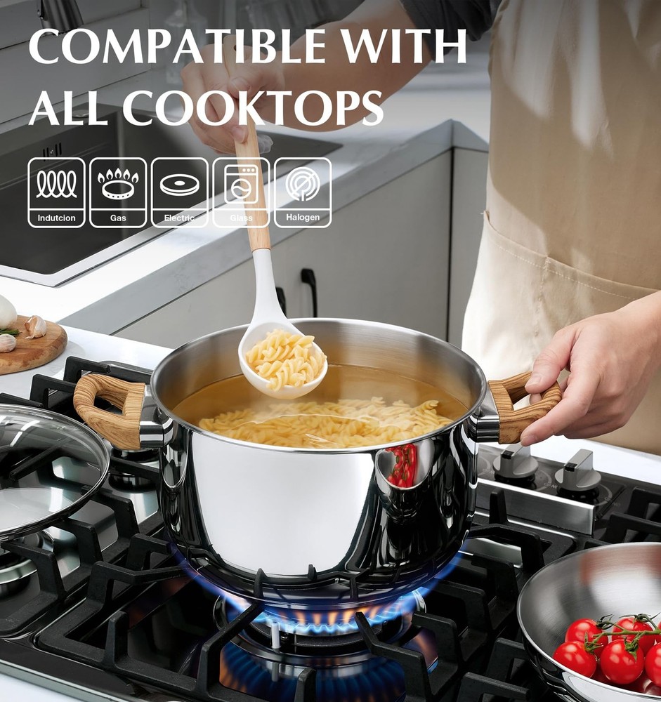 KOCH SYSTEME CS Stainless Steel Pot - 4 Quart Induction 4QT, Silver