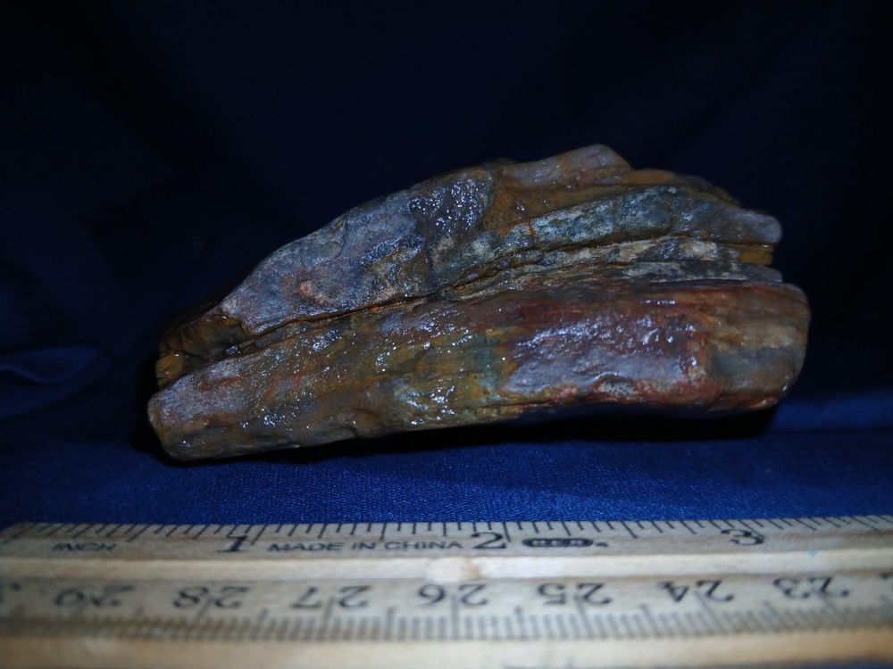 Brazos Valley Petrified Wood Agate Natural State ( Unchanged)