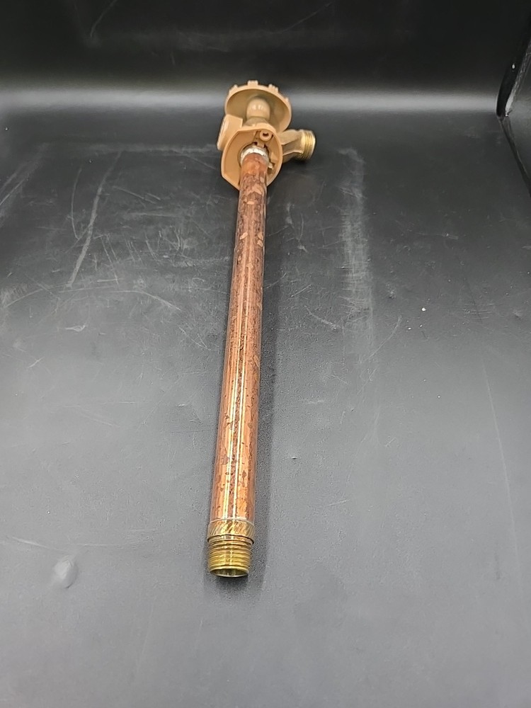 Woodford 19CP-12 Freezeless Wall Faucet Frost Proof Model 19 Anti-Siphon NEW