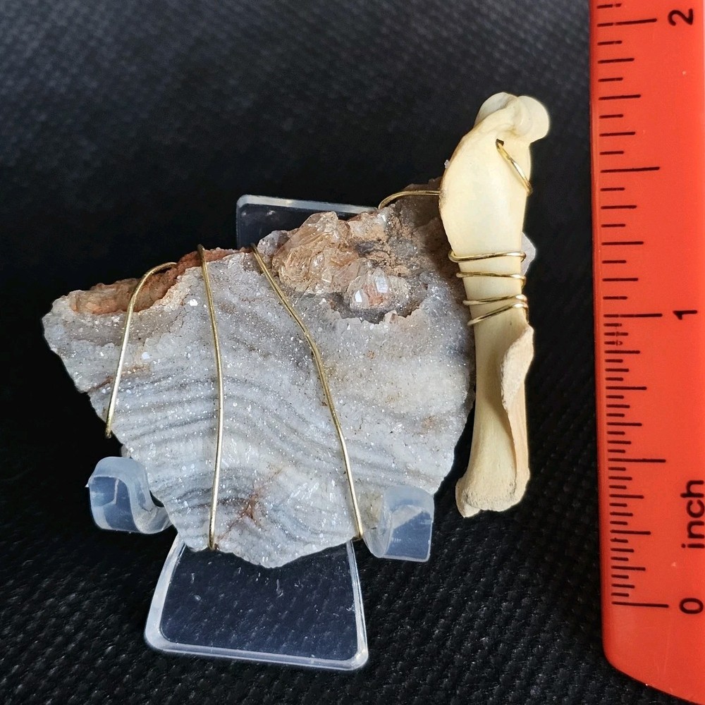 Druzy Quartz & Ethically Sourced Small Animal Bone Magnet | Wire Wrapped Decor