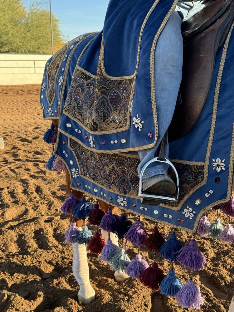 Horse Arabian Native Costume