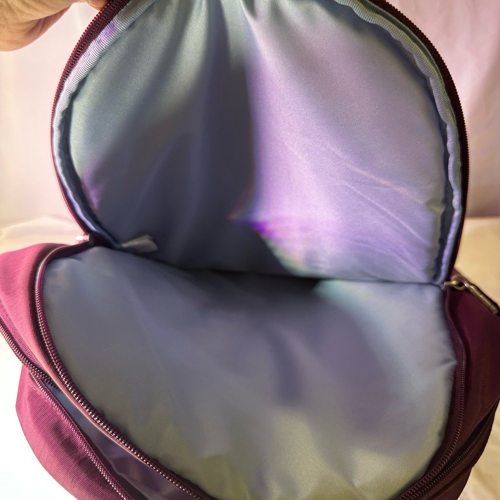 Baggallini Maroon Backpack