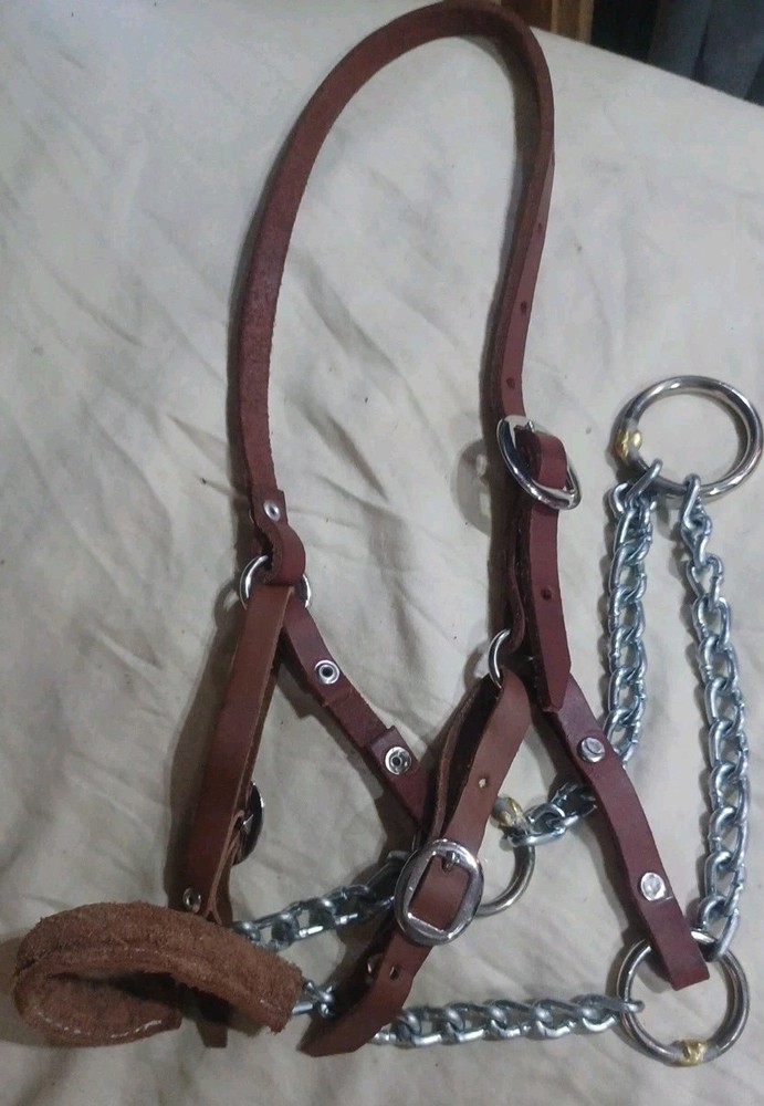 Natural Leather Halter