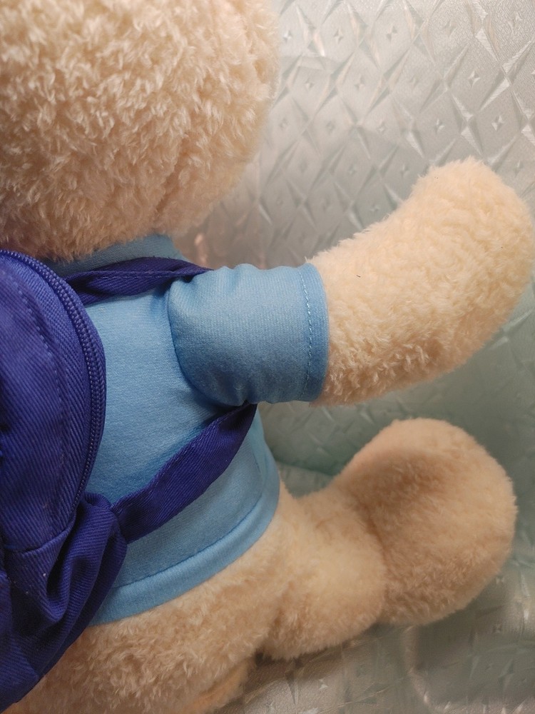 Spark Create Imagine Interactive Learning Plush Bear for Child, With Books