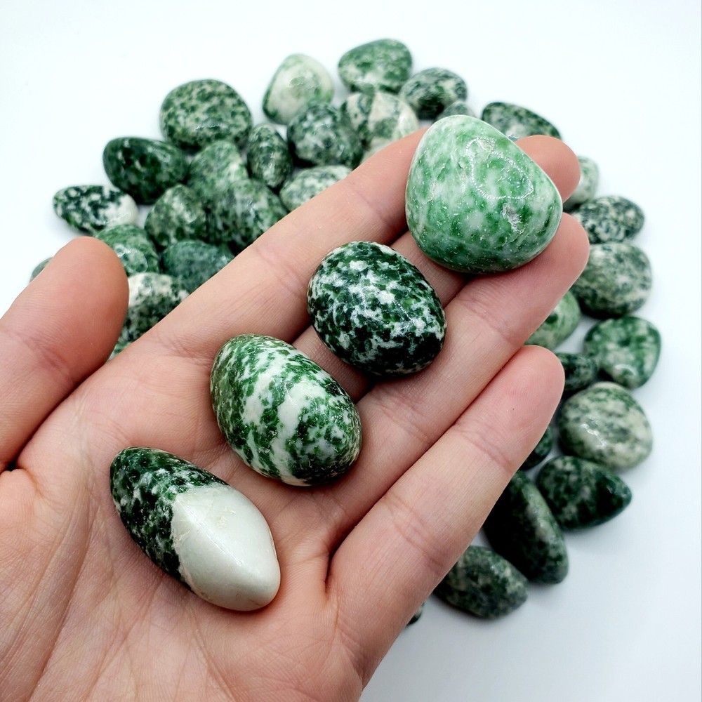 Tree agate - Tumbled & Polished Natural Healing Crystal Gemstones - 2pc