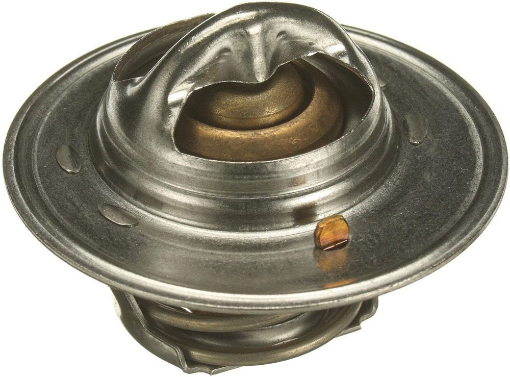 33489 Thermostat