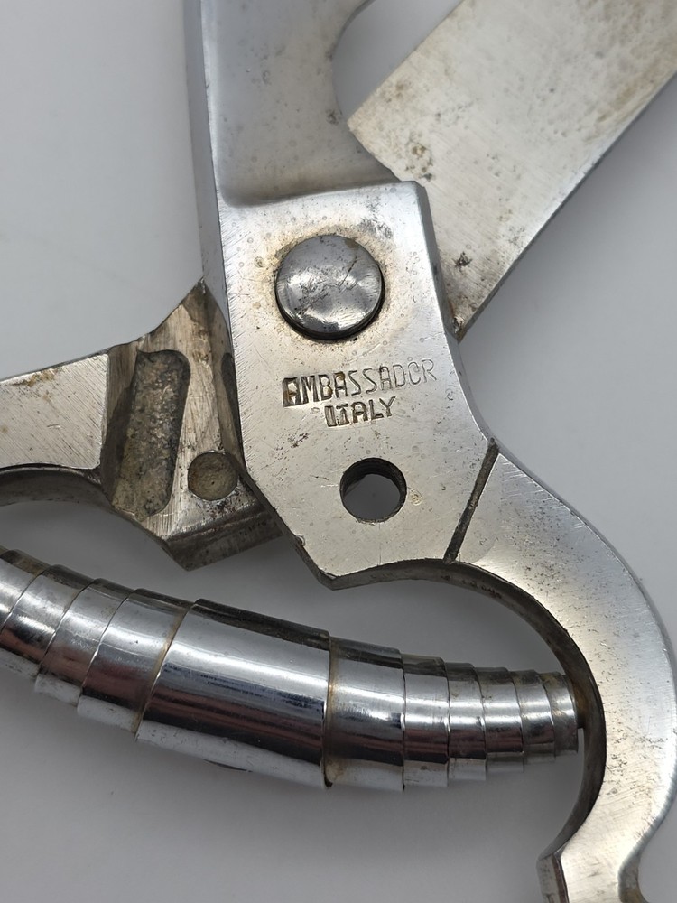 Vintage Ornate Shears/Scissors