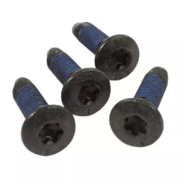 Striker Bolt ONE BOLT ONLY